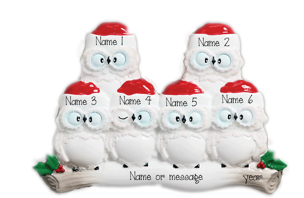 Family of 6 Owls-Personalized Christmas Ornament