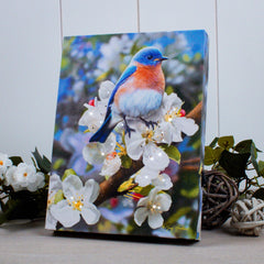 Bluebird 6x8 Lighted Tabletop Canvas
