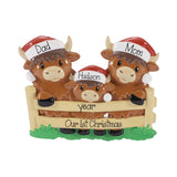 Personalized Highland Cow Family of 3,  Hand Personalized Family Christmas Ornament