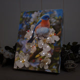 Bluebird 6x8 Lighted Tabletop Canvas
