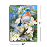 Bluebird 6x8 Lighted Tabletop Canvas