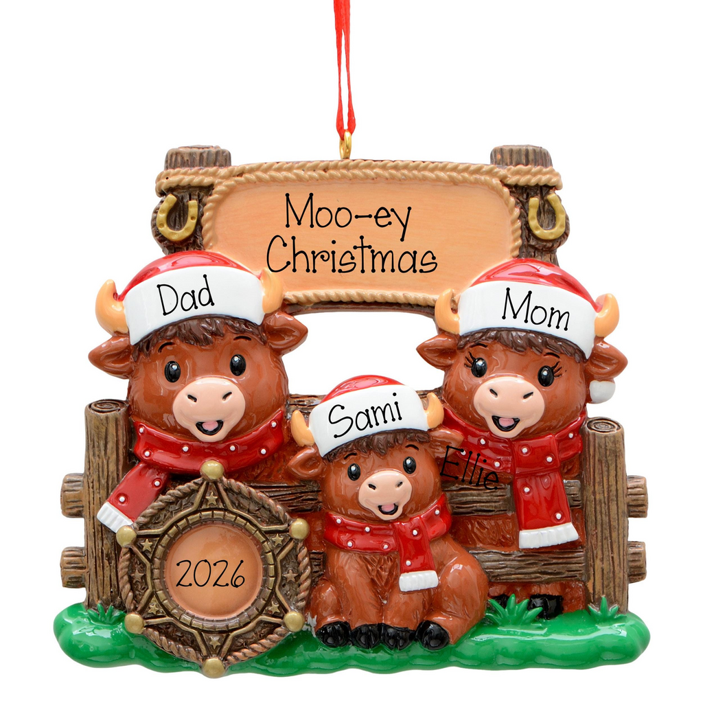 Personalized Western Highland Cow Family of 3,  Hand Personalized Family Christmas Ornament