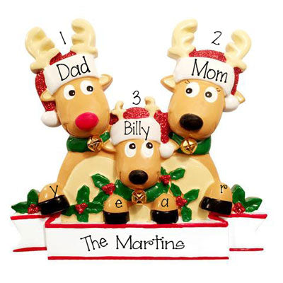 Family of 3 REINDEER ~ Personalized Christmas Ornament