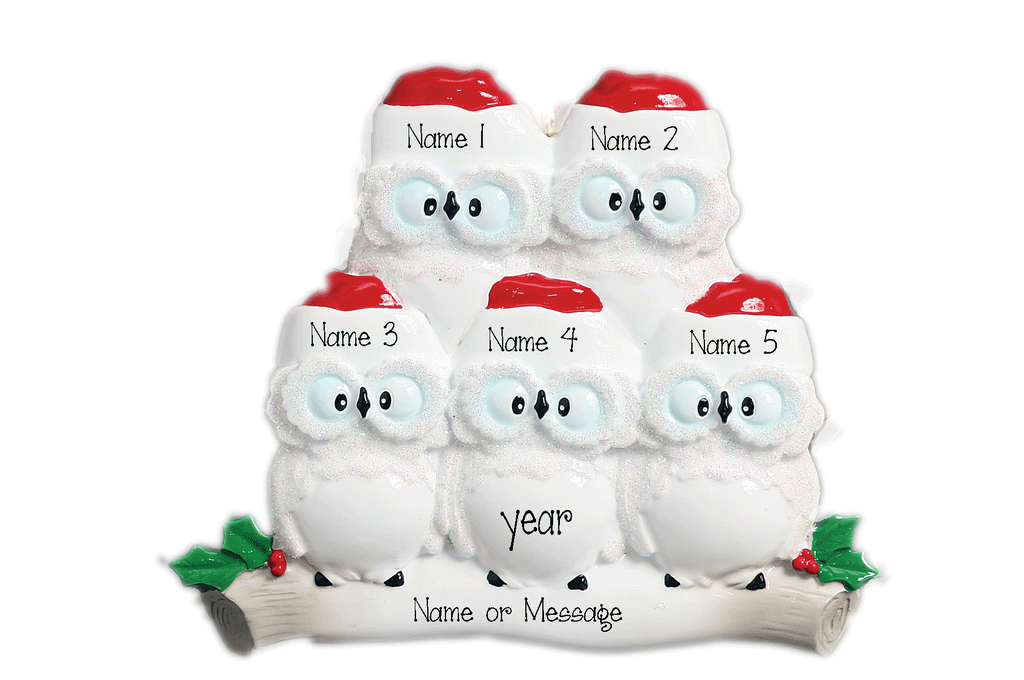 Family of 5 Owls-Personalized Christmas Ornament