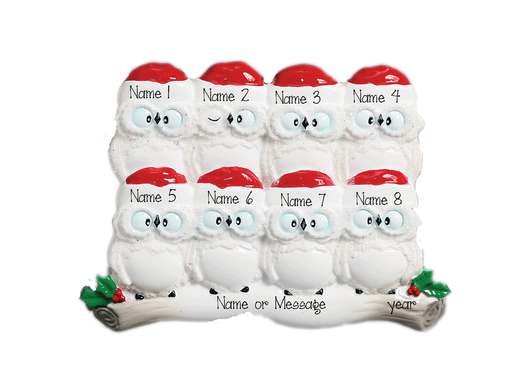 Family of 8 Owls~Personalized Christmas Ornament